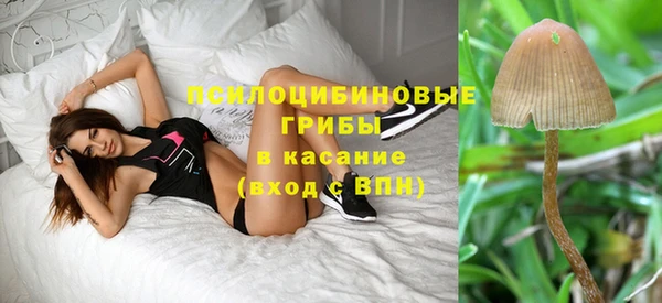 прущие крисы Аркадак