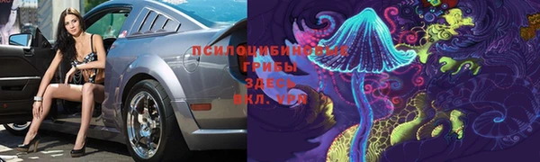 соль ск Балахна